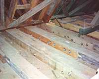 Sanierung des Daches nach Befall mit echtem Hausschaum
